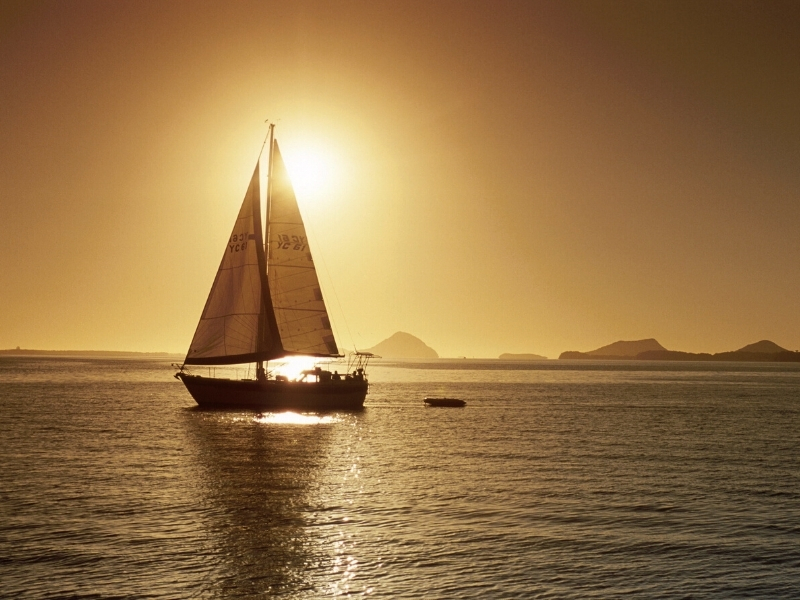Boat Tours